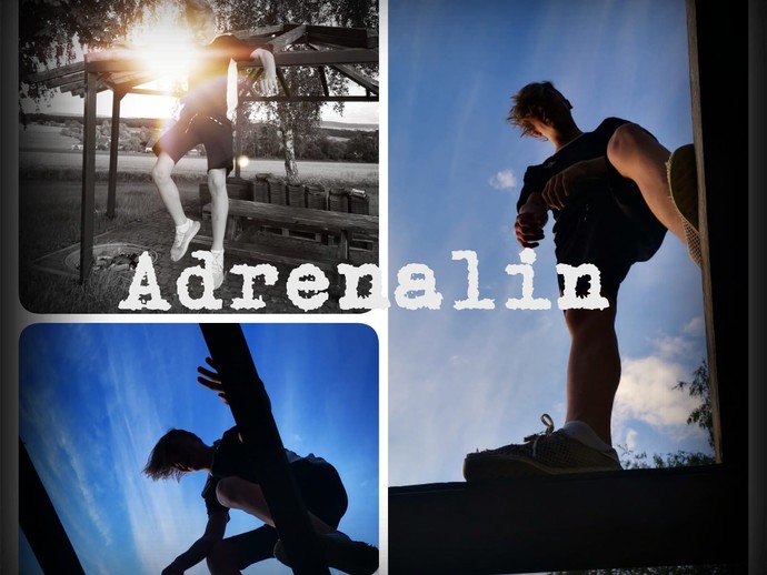 6. Platz: Adrenalin-Collage (öffnet vergrößerte Bildansicht)