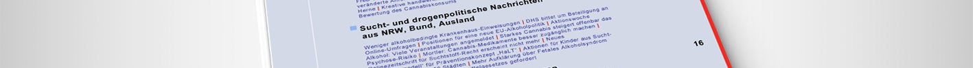 Abbildung unseres KS-Newsletters